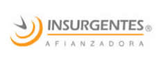 Afianzadora Insurgentes