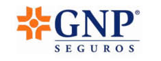 GNP